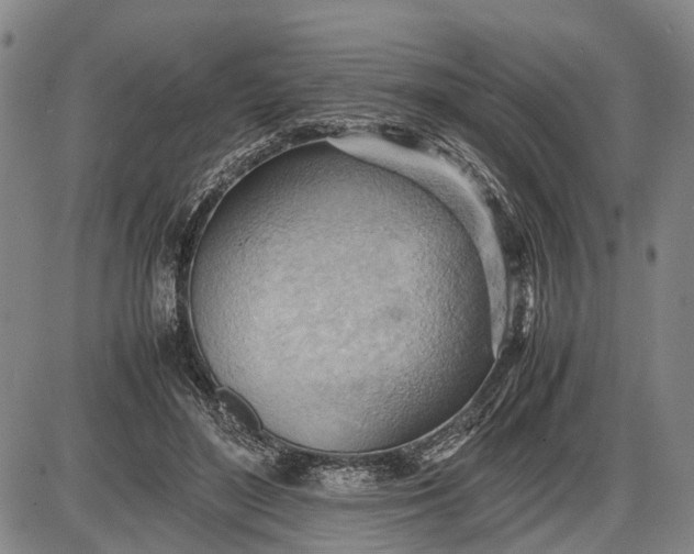 X0000085750500200703301406