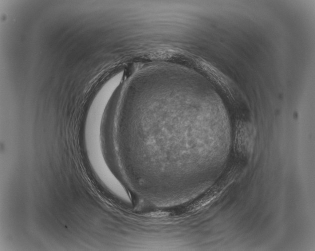 X0000085750501200703301406