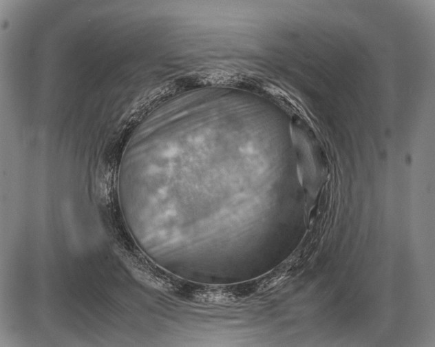 X0000085750503200703301406