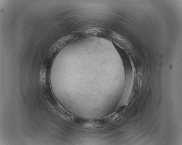 X0000085750504200703301406