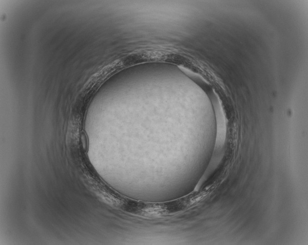 X0000085750505200703301406