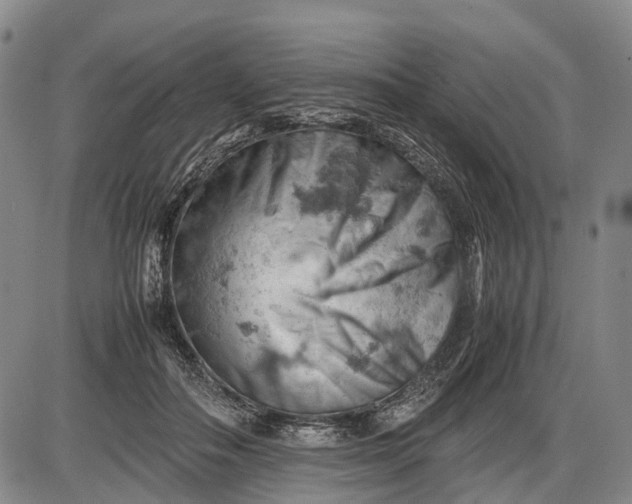 X0000085750506200703301406