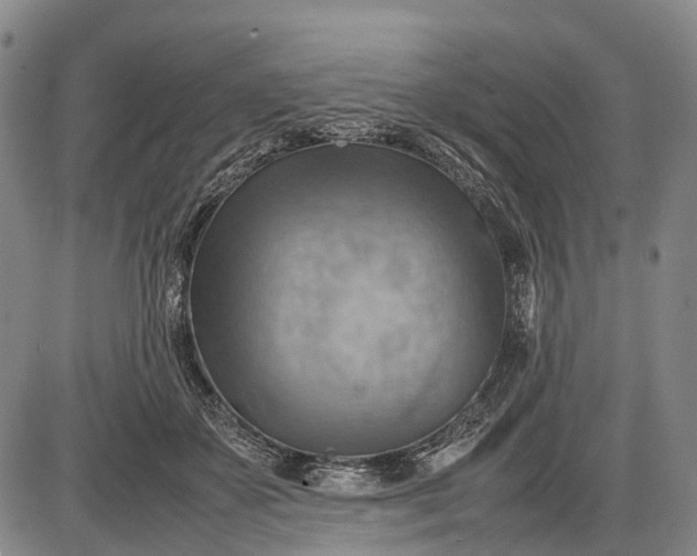 X0000085750507200703301406