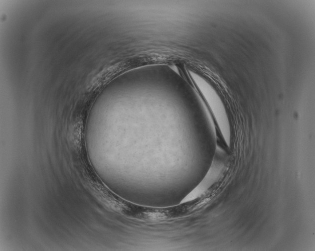 X0000085750509200703301406