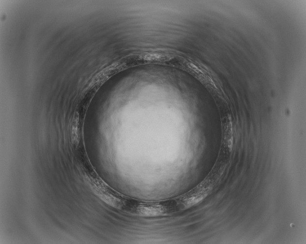 X0000085750510200703301406