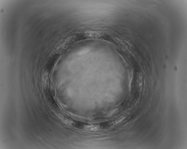 X0000085750511200703301406