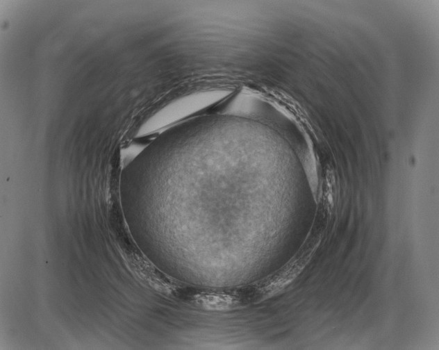 X0000085750512200703301406