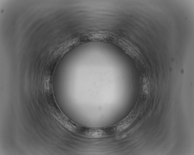 X0000085750514200703301406