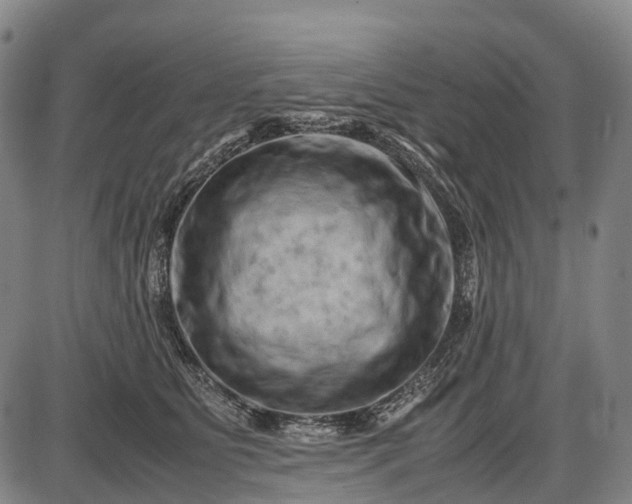 X0000085750515200703301406