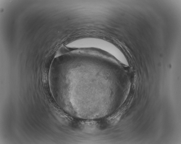 X0000085750517200703301406