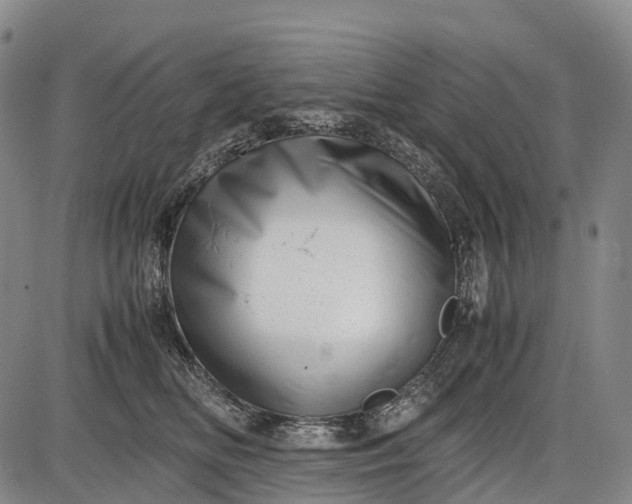 X0000085750518200703301406