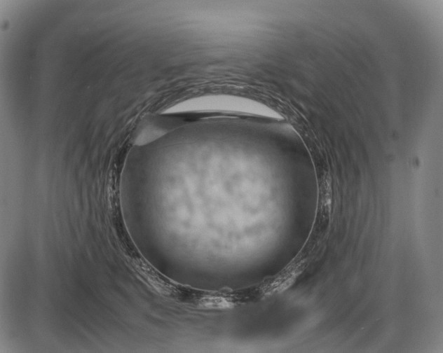 X0000085750519200703301406