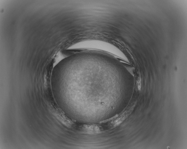 X0000085750520200703301406