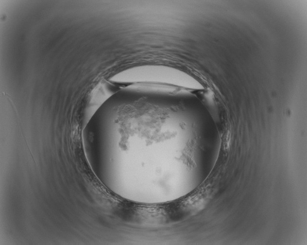 X0000085750521200703301405