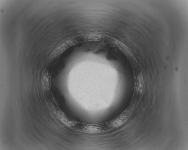 X0000085750522200703301405