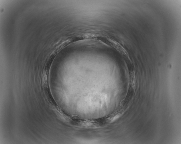 X0000085750523200703301405