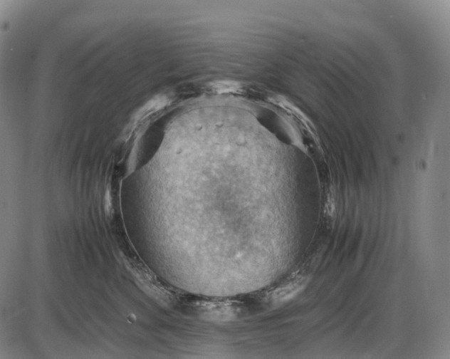 X0000085750524200703301405