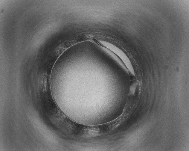 X0000085750525200703301405