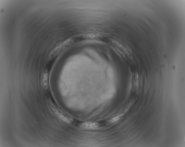 X0000085750526200703301405