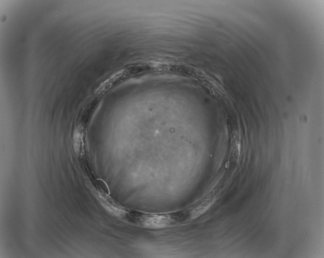 X0000085750527200703301405