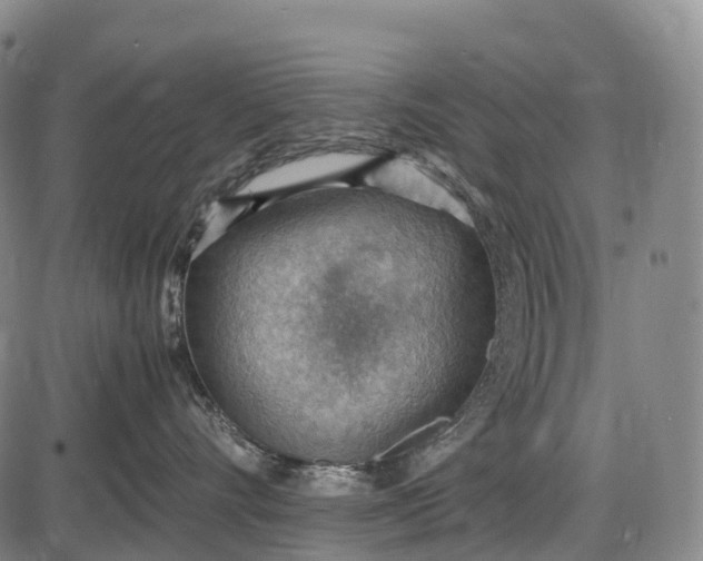 X0000085750528200703301405