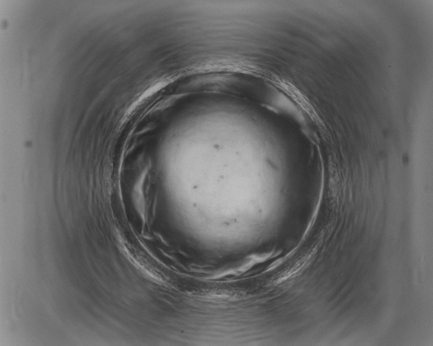 X0000085750530200703301405