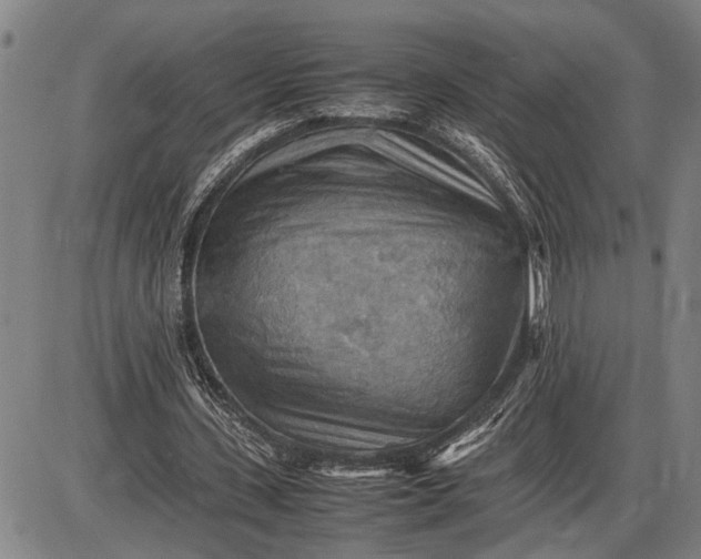 X0000085750531200703301405