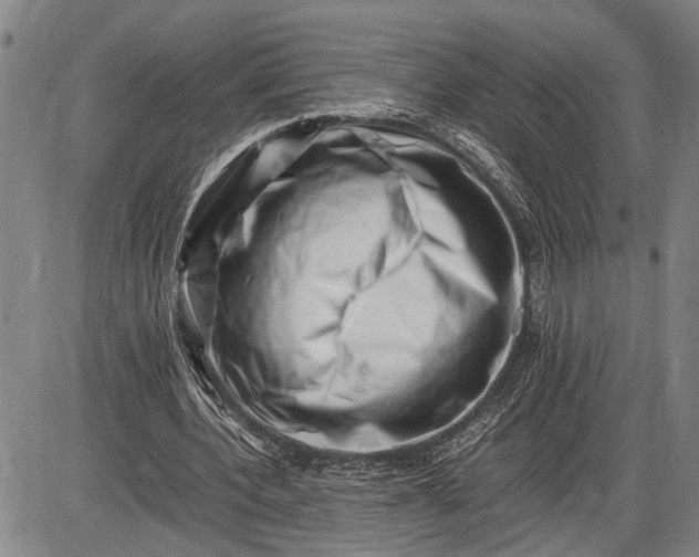 X0000085750532200703301405