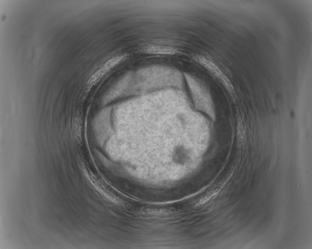 X0000085750533200703301405