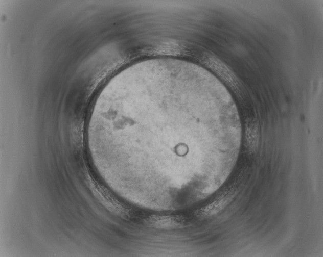 X0000085750534200703301405