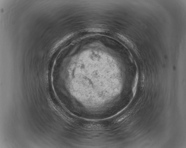 X0000085750535200703301405