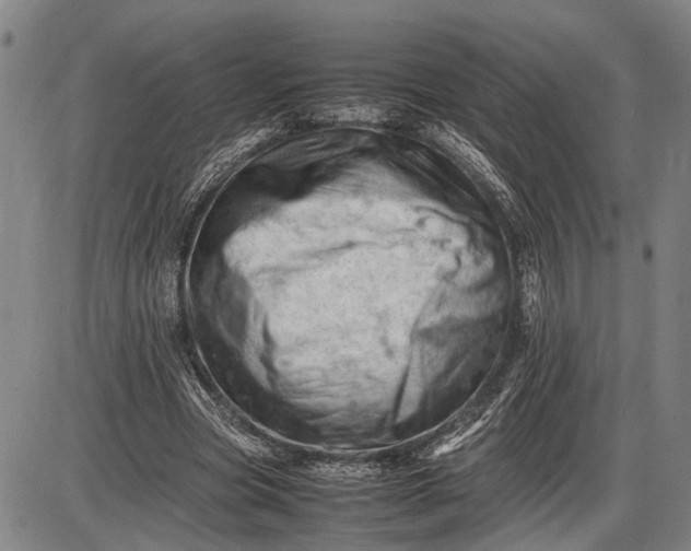 X0000085750537200703301405