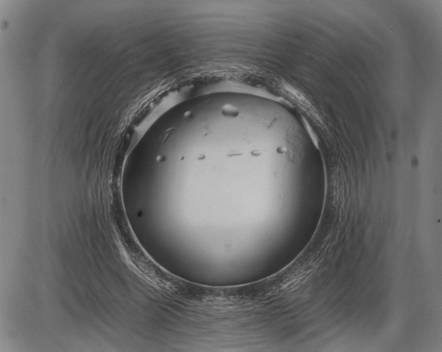 X0000085750538200703301405