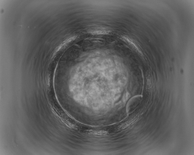 X0000085750539200703301405