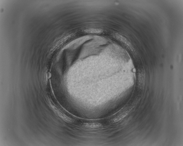 X0000085750541200703301405