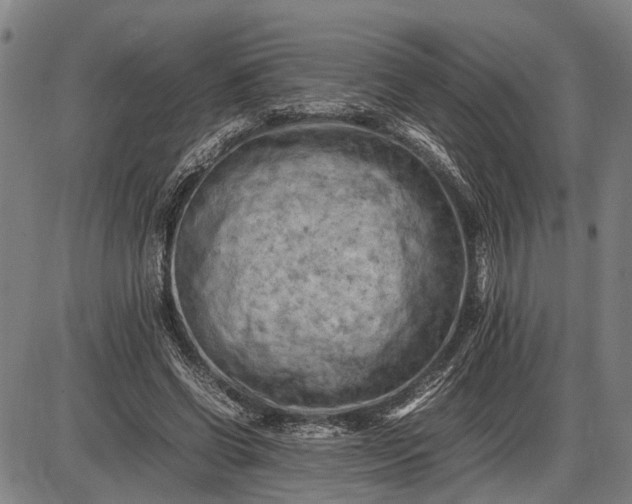 X0000085750542200703301405