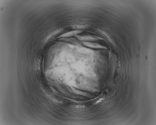 X0000085750543200703301405