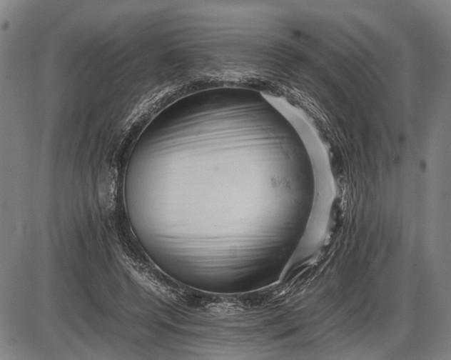 X0000085750544200703301405