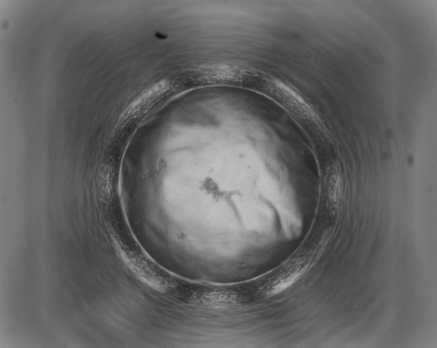 X0000085750546200703301405