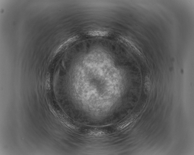 X0000085750547200703301405