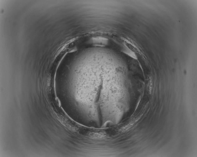 X0000085750548200703301405