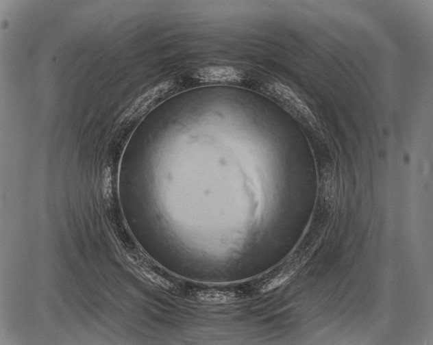 X0000085750549200703301405