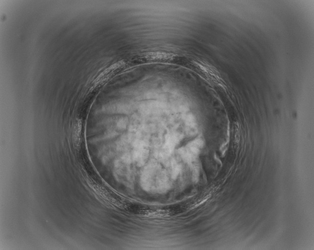 X0000085750550200703301405