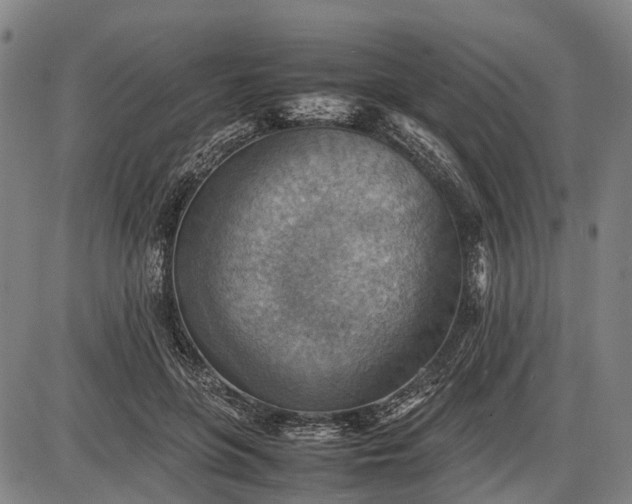 X0000085750551200703301405