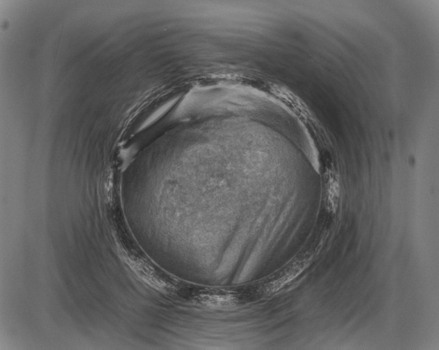 X0000085750552200703301405