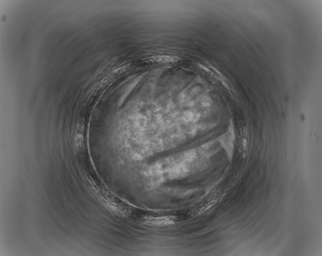 X0000085750553200703301405