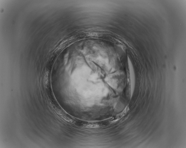 X0000085750554200703301405