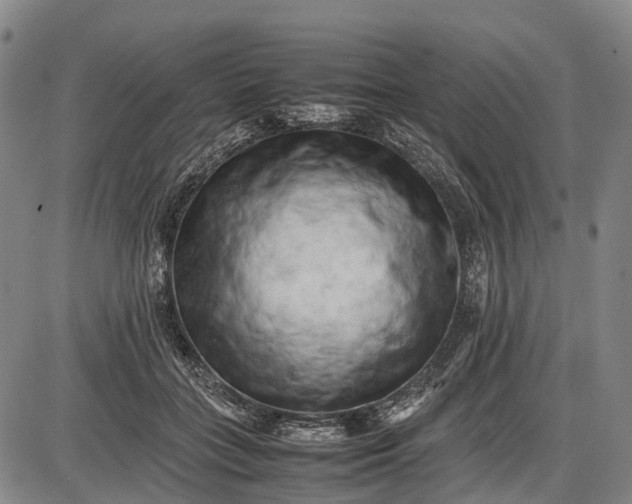 X0000085750555200703301405