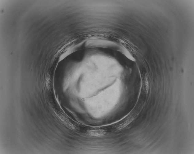 X0000085750556200703301405