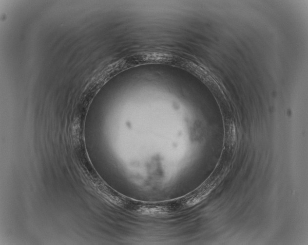 X0000085750557200703301405